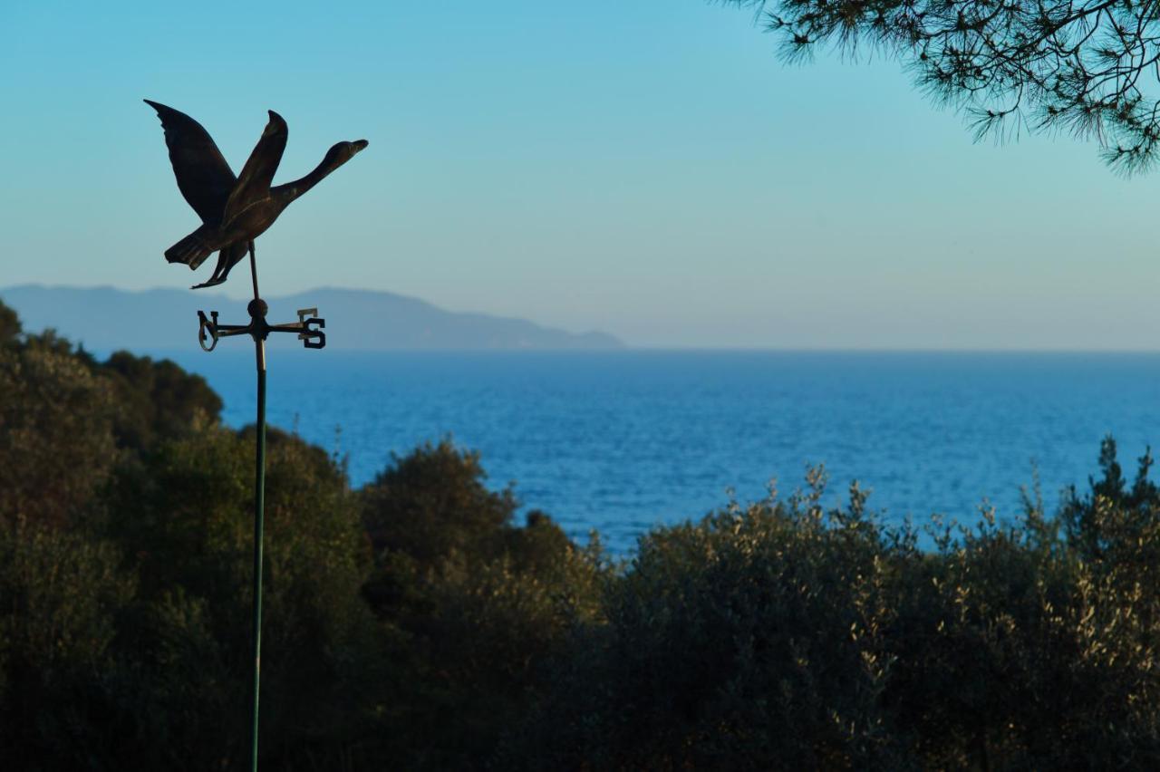 Villa Talamo Fonteblanda Luaran gambar